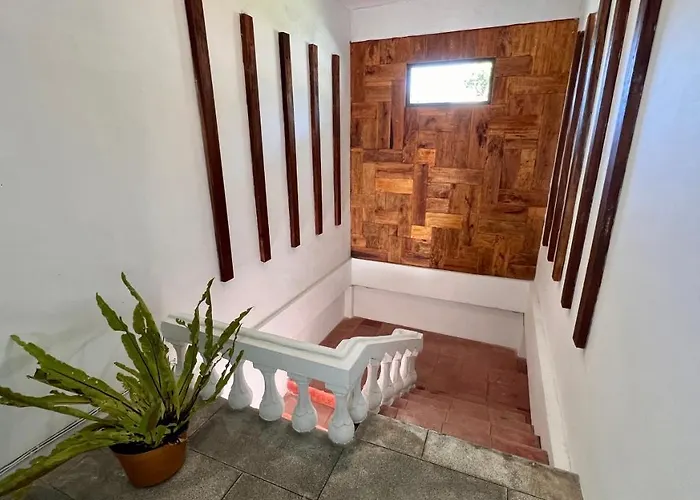 Chakra Tavern Hostel *